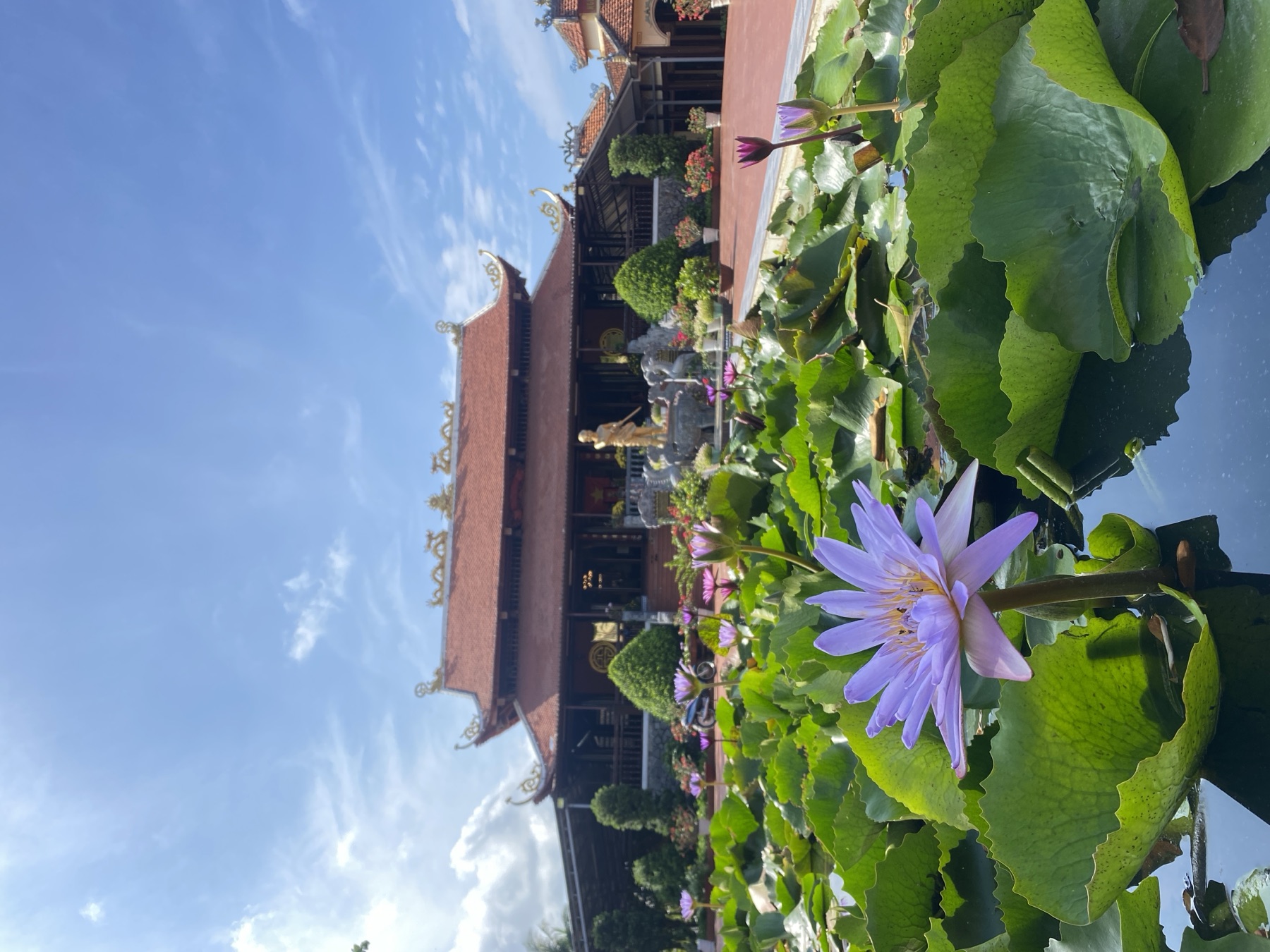 Best Time to Visit Phu Quoc: A Month-by-Month Guide