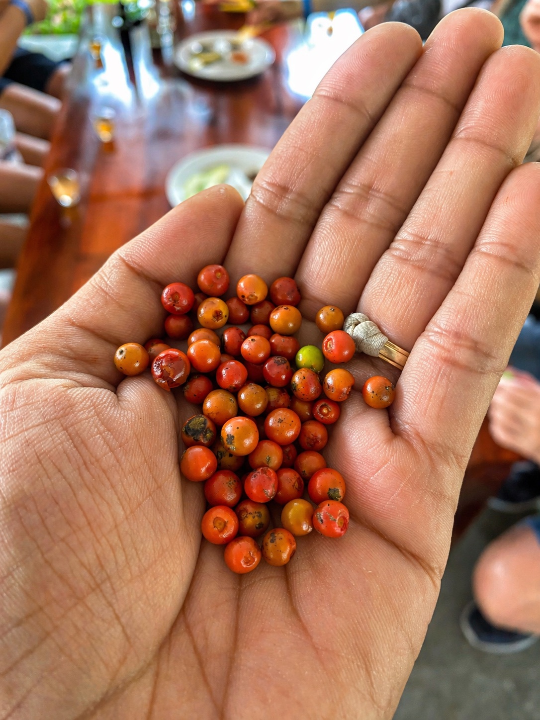 Starfish Beach Phu Quoc: What Tourists Should Know Before Going